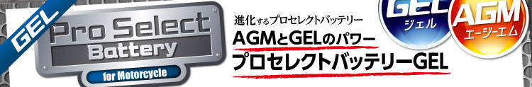 AGMとGELのパワー　プロセレクトバッテリーGEL